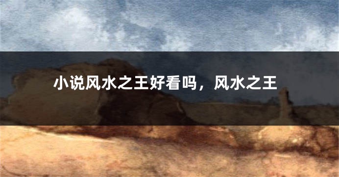 小说风水之王好看吗，风水之王
