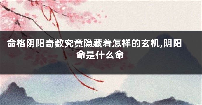 命格阴阳奇数究竟隐藏着怎样的玄机,阴阳命是什么命