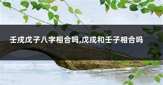 壬戌戊子八字相合吗,戊戌和壬子相合吗