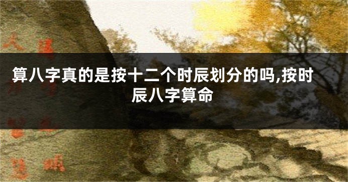 算八字真的是按十二个时辰划分的吗,按时辰八字算命