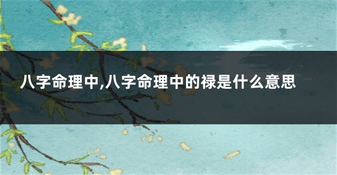 八字命理中,八字命理中的禄是什么意思