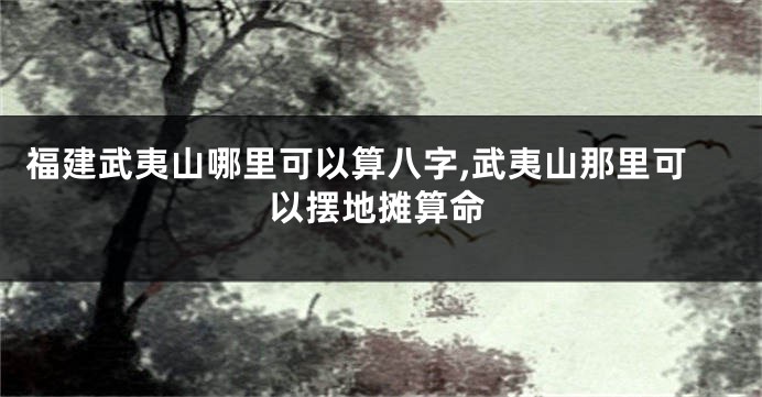 福建武夷山哪里可以算八字,武夷山那里可以摆地摊算命