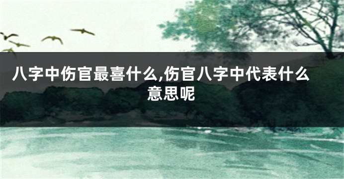 八字中伤官最喜什么,伤官八字中代表什么意思呢