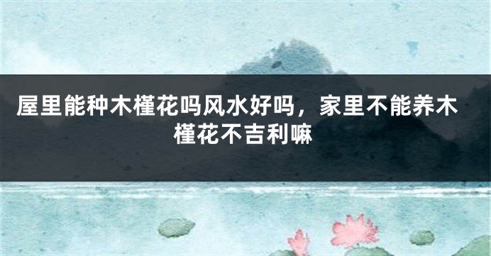 屋里能种木槿花吗风水好吗，家里不能养木槿花不吉利嘛
