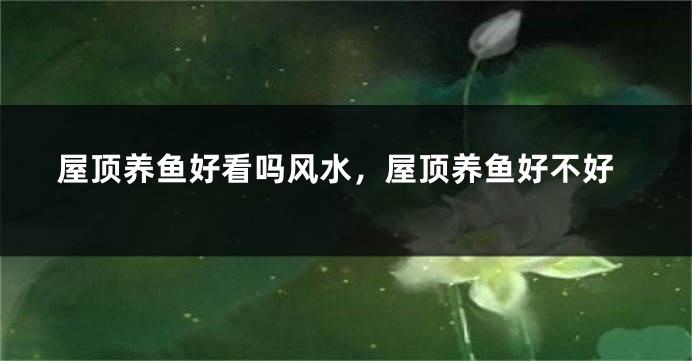 屋顶养鱼好看吗风水，屋顶养鱼好不好