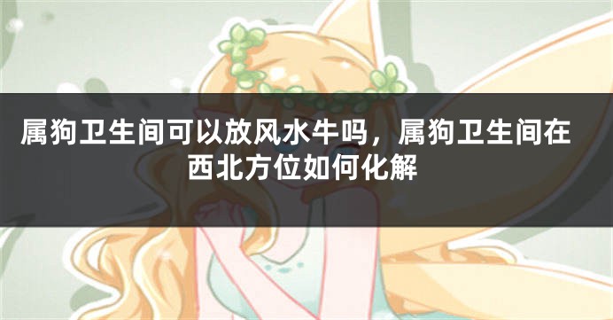 属狗卫生间可以放风水牛吗，属狗卫生间在西北方位如何化解