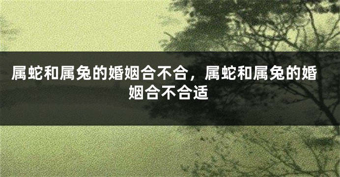 属蛇和属兔的婚姻合不合,属蛇和属兔的婚姻合不合适