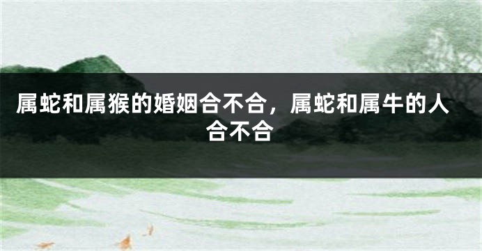 属蛇和属猴的婚姻合不合,属蛇和属牛的人合不合