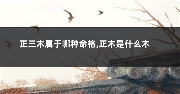 正三木属于哪种命格,正木是什么木