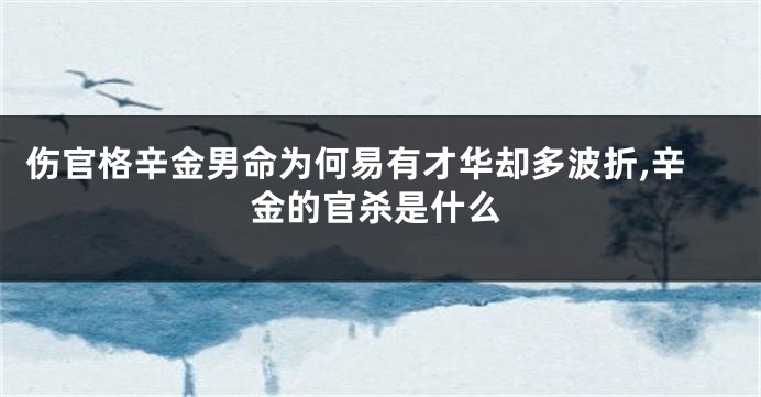 伤官格辛金男命为何易有才华却多波折,辛金的官杀是什么