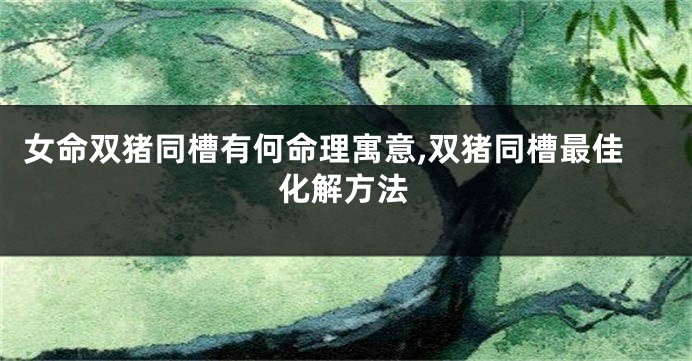 女命双猪同槽有何命理寓意,双猪同槽最佳化解方法