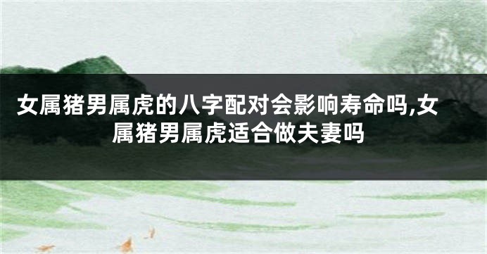 女属猪男属虎的八字配对会影响寿命吗,女属猪男属虎适合做夫妻吗