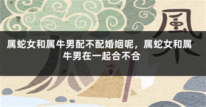 属蛇女和属牛男配不配婚姻呢，属蛇女和属牛男在一起合不合