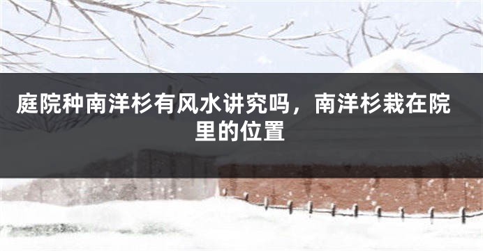 庭院种南洋杉有风水讲究吗,南洋杉栽在院里的位置