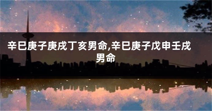 辛巳庚子庚戌丁亥男命,辛巳庚子戊申壬戌男命