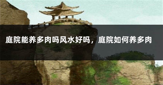 庭院能养多肉吗风水好吗，庭院如何养多肉