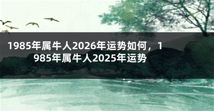 1985年属牛人2026年运势如何，1985年属牛人2025年运势