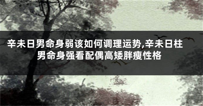 辛未日男命身弱该如何调理运势,辛未日柱男命身强看配偶高矮胖瘦性格