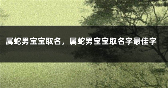 属蛇男宝宝取名,属蛇男宝宝取名字最佳字