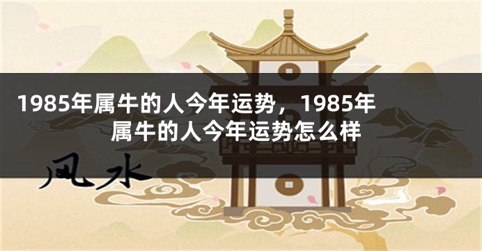 1985年属牛的人今年运势，1985年属牛的人今年运势怎么样