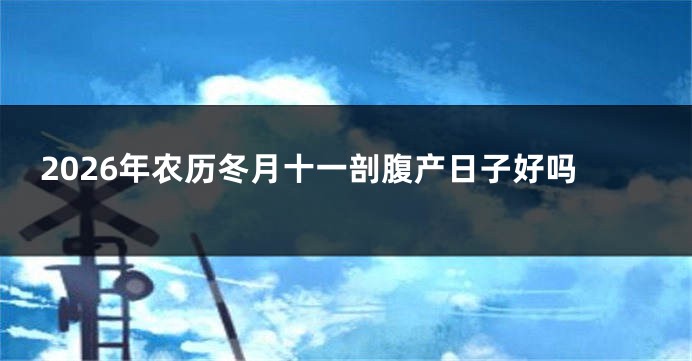 2026年农历冬月十一剖腹产日子好吗