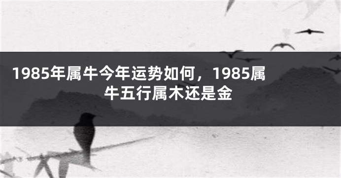 1985年属牛今年运势如何，1985属牛五行属木还是金