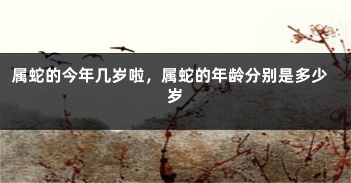 属蛇的今年几岁啦，属蛇的年龄分别是多少岁