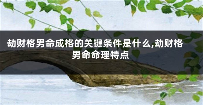 劫财格男命成格的关键条件是什么,劫财格男命命理特点