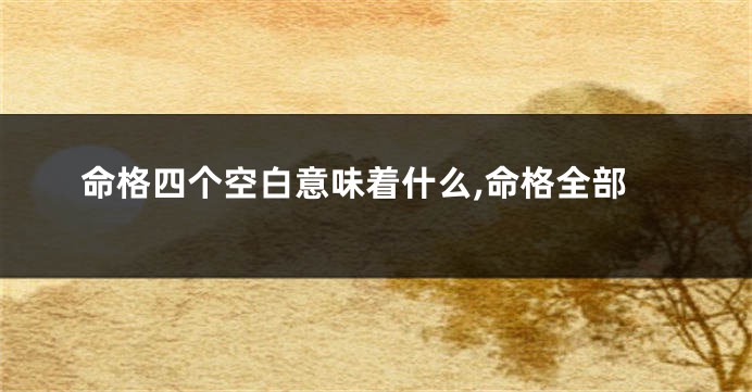命格四个空白意味着什么,命格全部