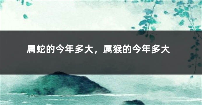 属蛇的今年多大，属猴的今年多大