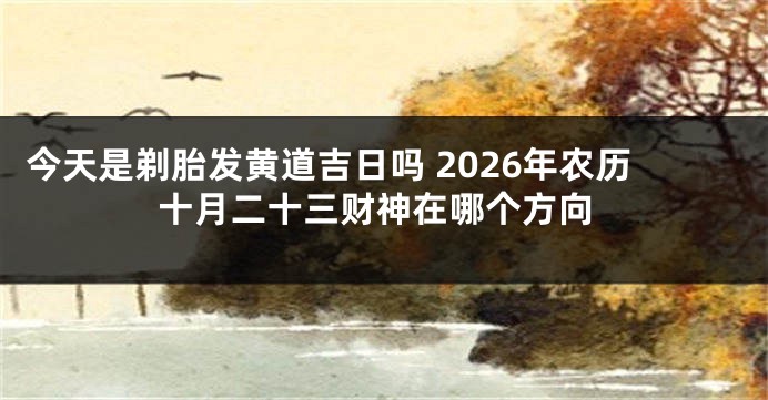 今天是剃胎发黄道吉日吗 2026年农历十月二十三财神在哪个方向