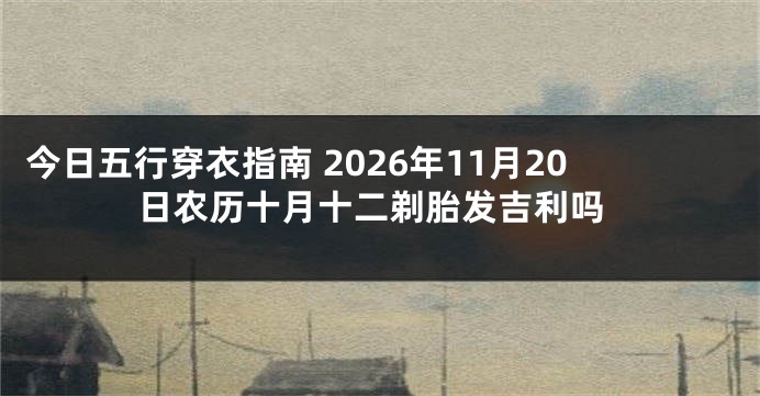 今日五行穿衣指南 2026年11月20日农历十月十二剃胎发吉利吗