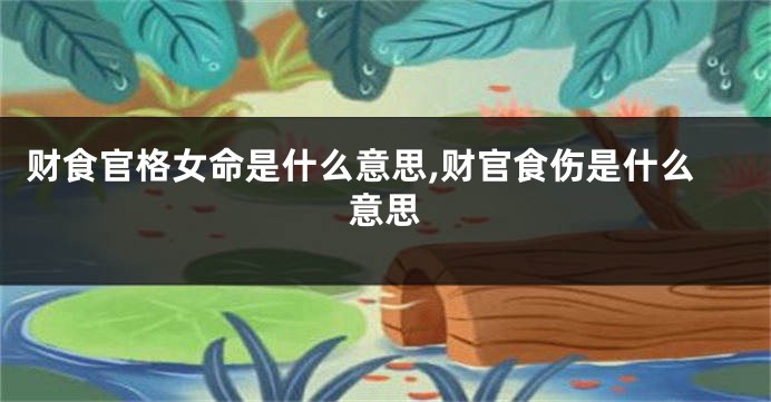 财食官格女命是什么意思,财官食伤是什么意思