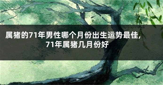 属猪的71年男性哪个月份出生运势最佳,71年属猪几月份好