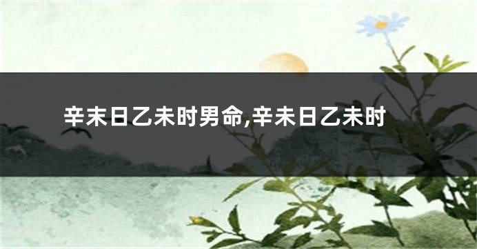 辛末日乙未时男命,辛未日乙未时