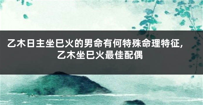 乙木日主坐巳火的男命有何特殊命理特征,乙木坐巳火最佳配偶