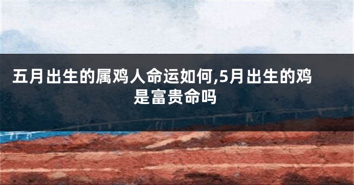 五月出生的属鸡人命运如何,5月出生的鸡是富贵命吗