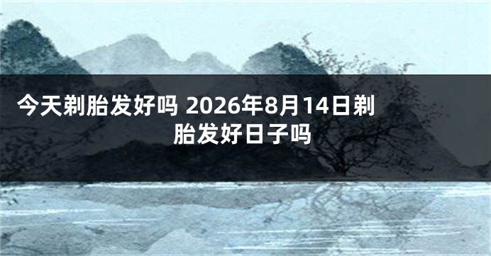 今天剃胎发好吗 2026年8月14日剃胎发好日子吗