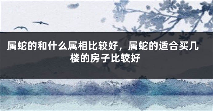 属蛇的和什么属相比较好,属蛇的适合买几楼的房子比较好