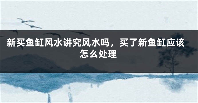 新买鱼缸风水讲究风水吗，买了新鱼缸应该怎么处理