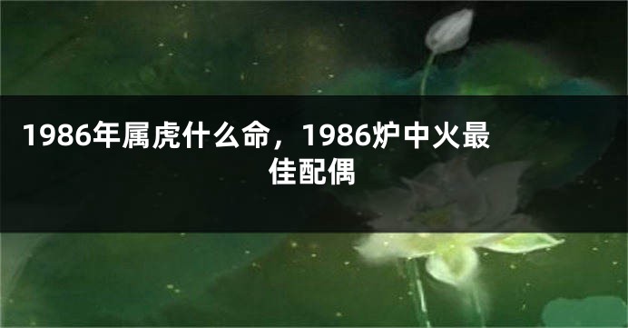 1986年属虎什么命，1986炉中火最佳配偶
