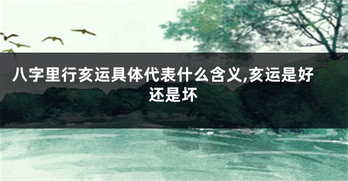 八字里行亥运具体代表什么含义,亥运是好还是坏