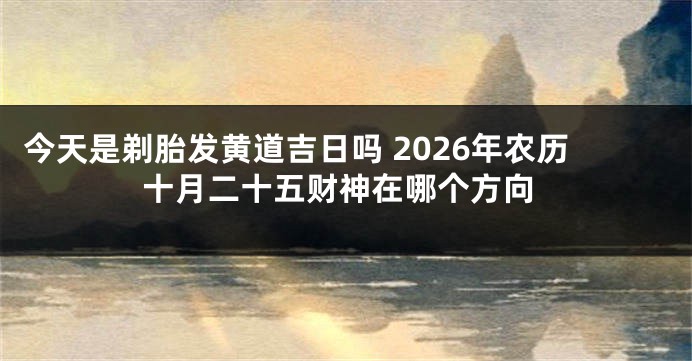 今天是剃胎发黄道吉日吗 2026年农历十月二十五财神在哪个方向