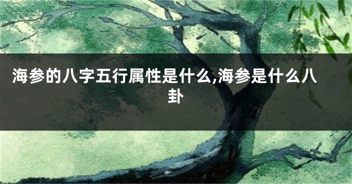 海参的八字五行属性是什么,海参是什么八卦