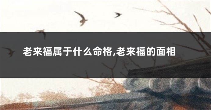 老来福属于什么命格,老来福的面相