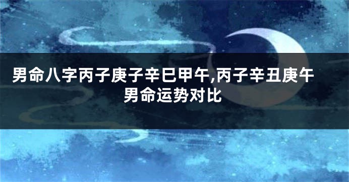 男命八字丙子庚子辛巳甲午,丙子辛丑庚午男命运势对比