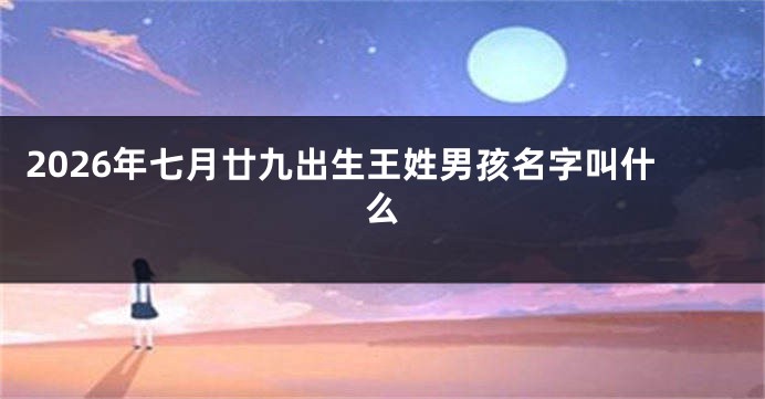 2026年七月廿九出生王姓男孩名字叫什么