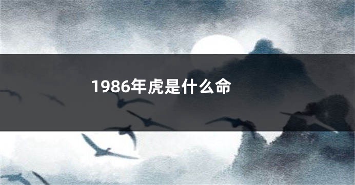 1986年虎是什么命