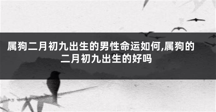 属狗二月初九出生的男性命运如何,属狗的二月初九出生的好吗