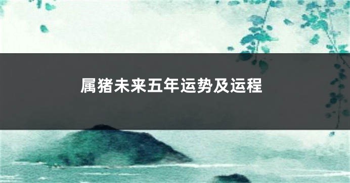 属猪未来五年运势及运程